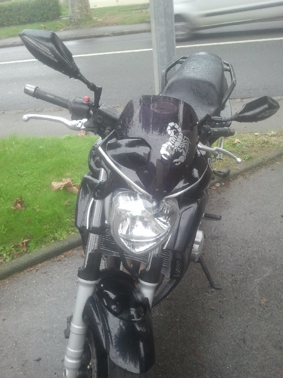 YAMAHA FZ6 N  2004 photo 2