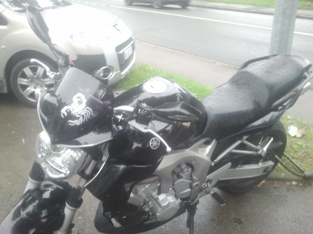 YAMAHA FZ6 N  2004 photo 3