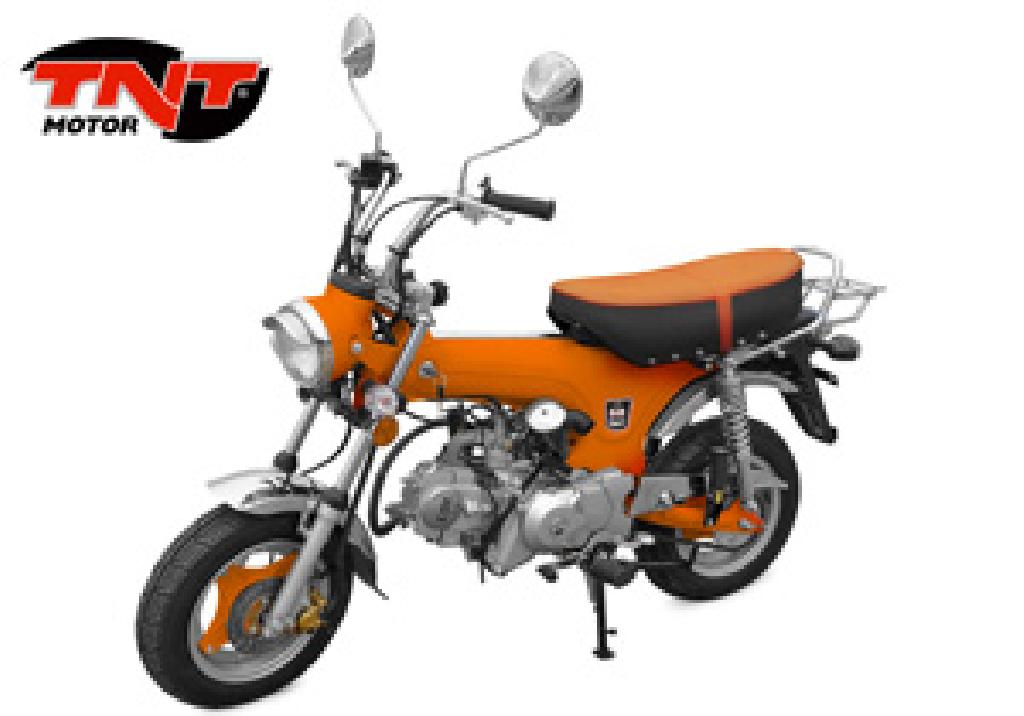 TNT City 50  2011 photo 4