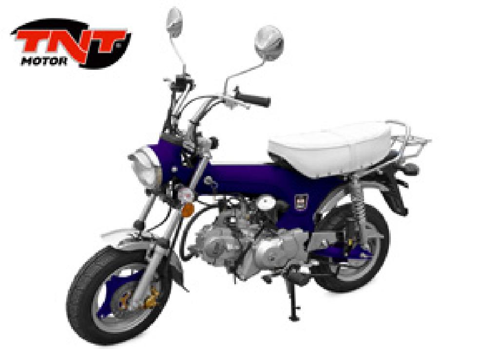 TNT City 50  2011 photo 5