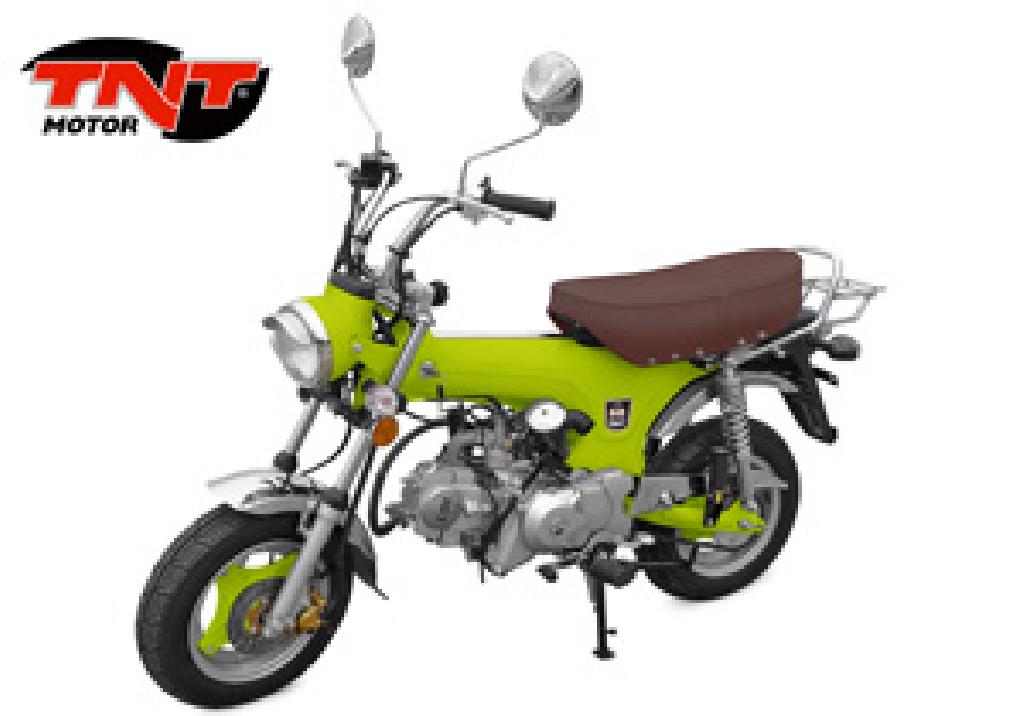 TNT City 50  2011 photo 6