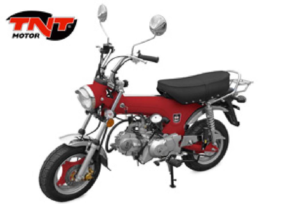 TNT City 50  2011 photo 7