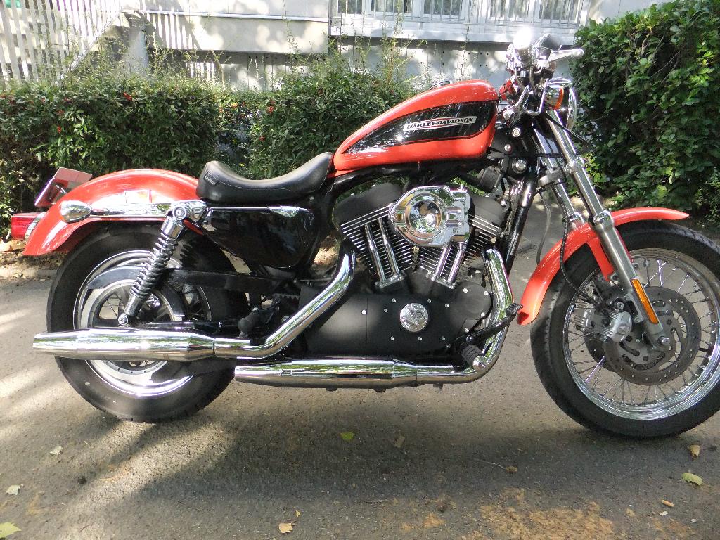 Moto HARLEY-DAVIDSON Sportster 1200 Roadster  occasion