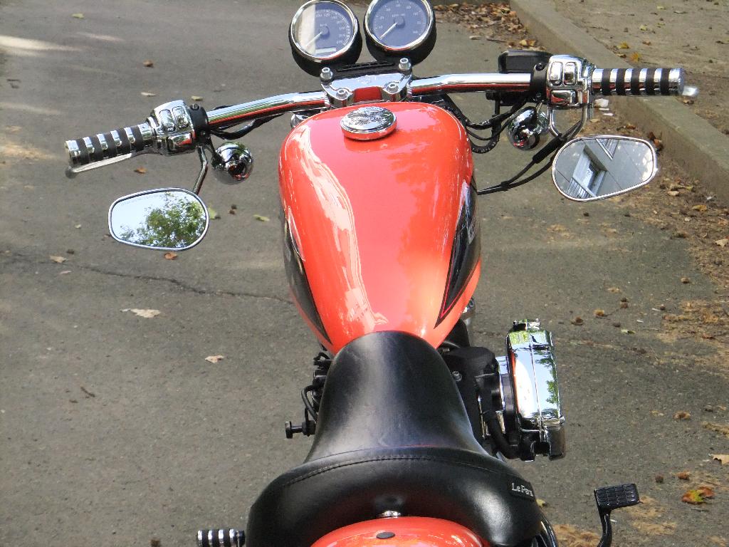 HARLEY-DAVIDSON Sportster 1200 Roadster  2006 photo 3