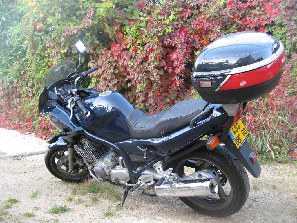 Moto YAMAHA XJS 900 Diversion  occasion