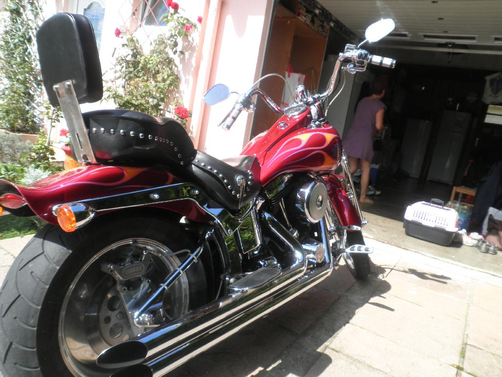 HARLEY-DAVIDSON Softail Springer  1999 photo 2
