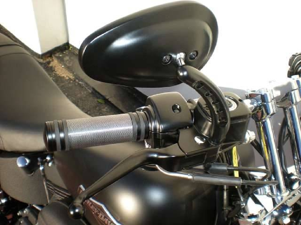 HARLEY-DAVIDSON Softail Night Train  2009 photo 2