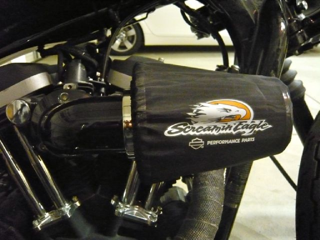Moto HARLEY-DAVIDSON Sportster Iron 883 Mat occasion