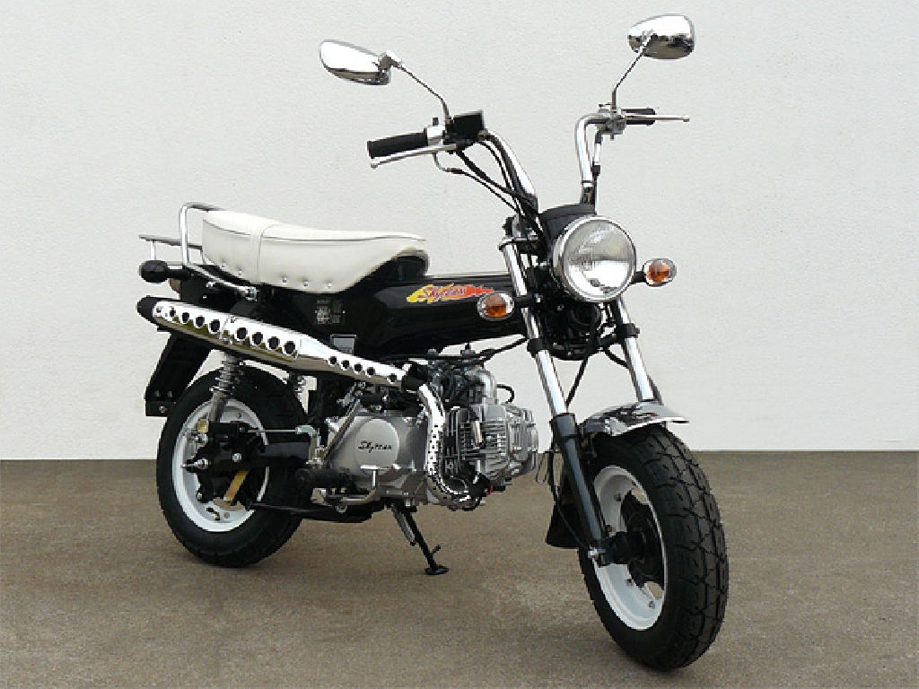 SKY TEAM Dax 50  2012 photo 2