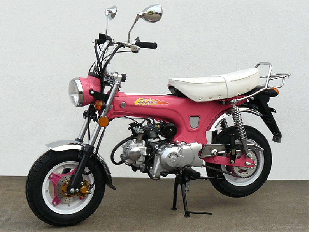 SKY TEAM Dax 50  2012 photo 4