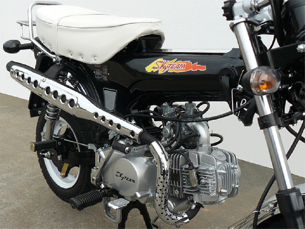 SKY TEAM Dax 50  2012 photo 6