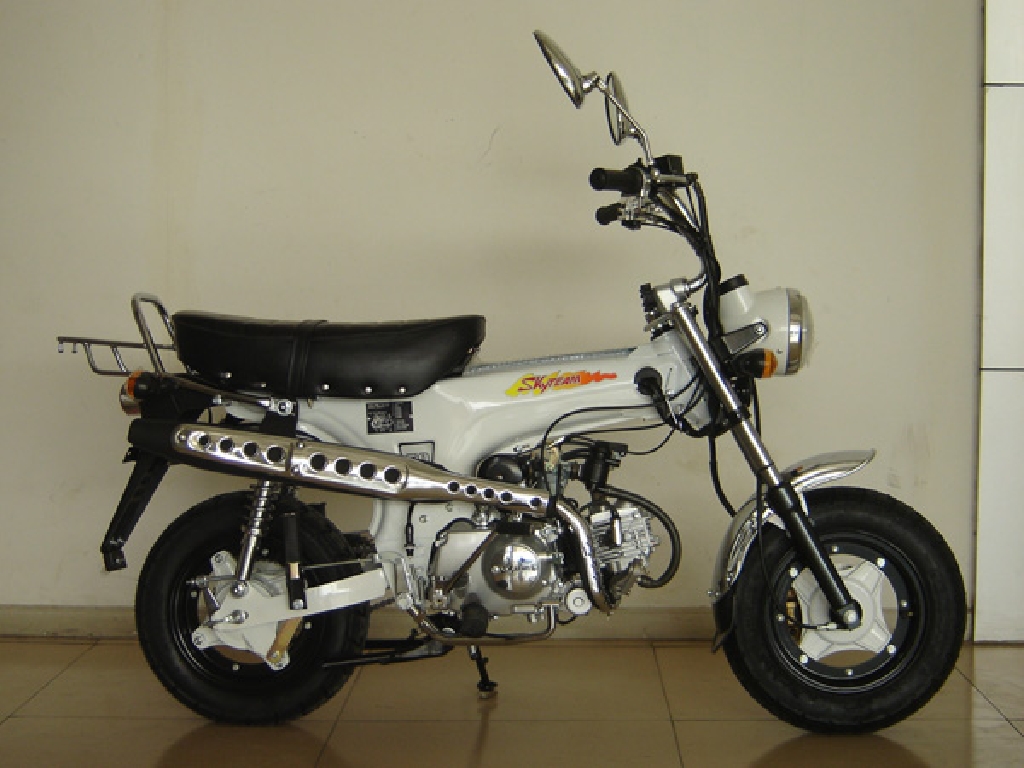 SKY TEAM Dax 125  2012 photo 5