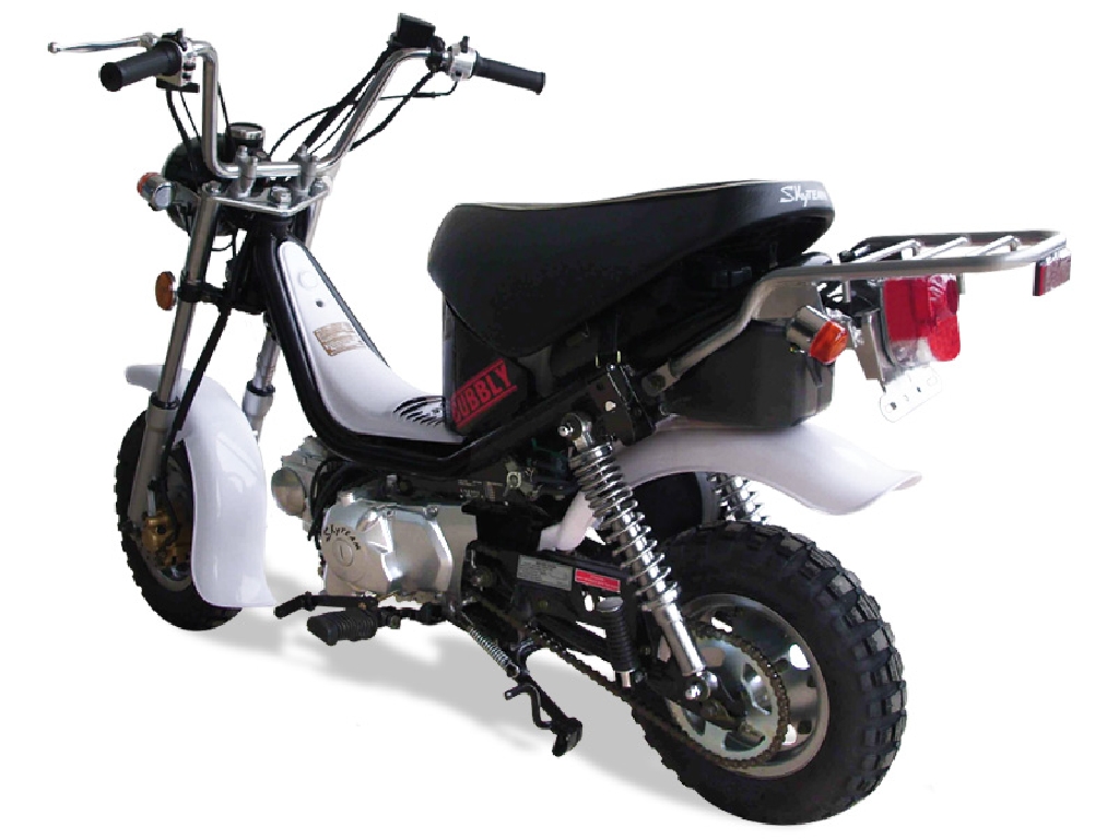 SKY TEAM Bubbly 125  2012 photo 3