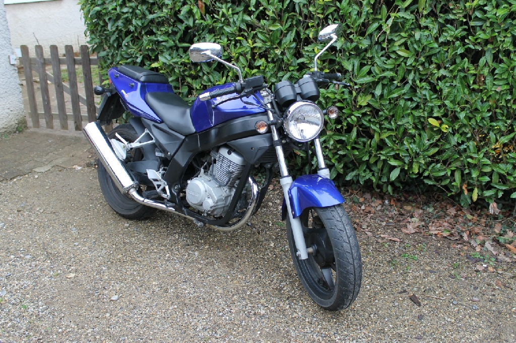 DAELIM Roadwin  2008 photo 3