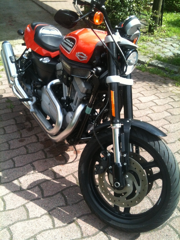 Moto HARLEY-DAVIDSON Sportster XR 1200  occasion
