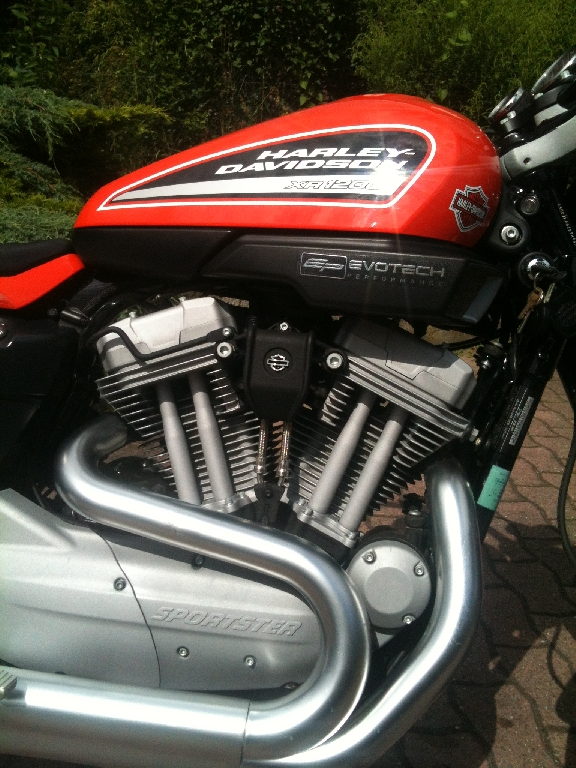 HARLEY-DAVIDSON Sportster XR 1200  2009 photo 3