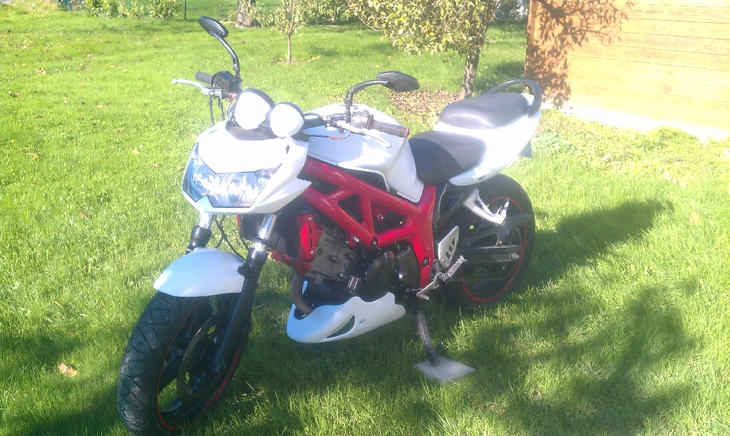 SUZUKI SV 650  2001 photo 2