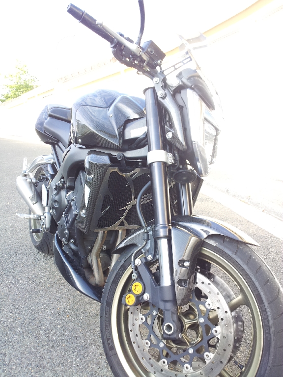 YAMAHA FZ1 N  2009 photo 2