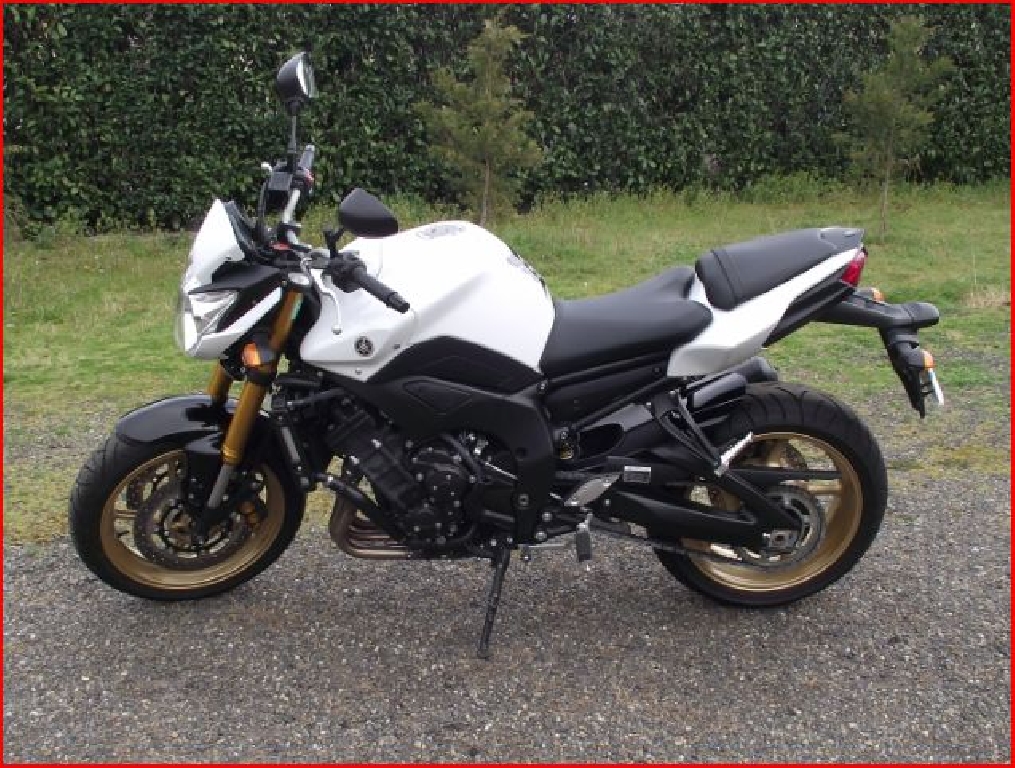YAMAHA FZ8 N n 2010 photo 2
