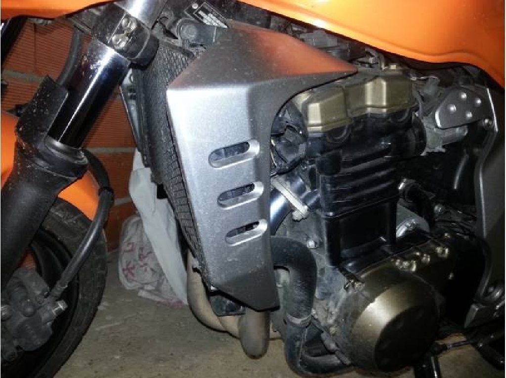 KAWASAKI Z 750  2006 photo 2