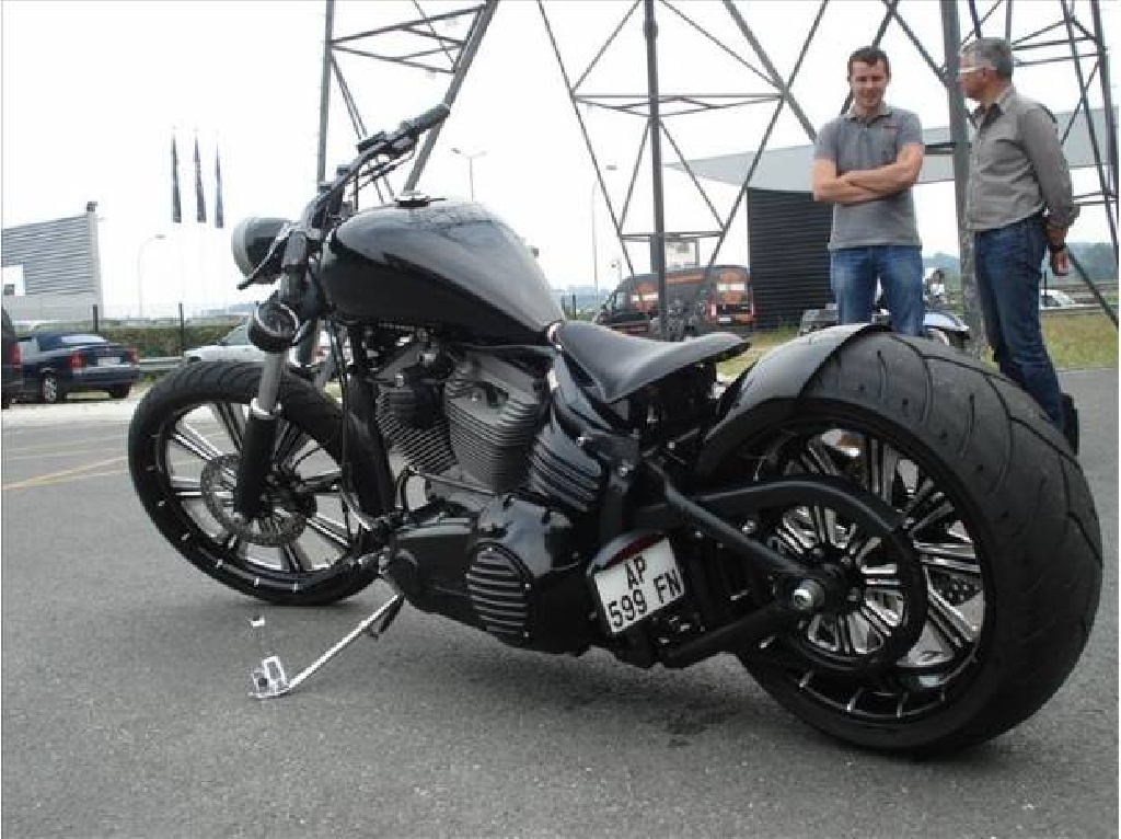 HARLEY-DAVIDSON Softail Rocker  2009 photo 2